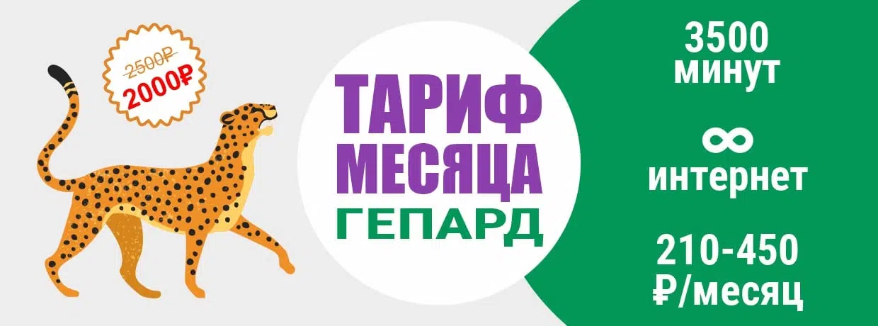 Акции Gepard - Акции